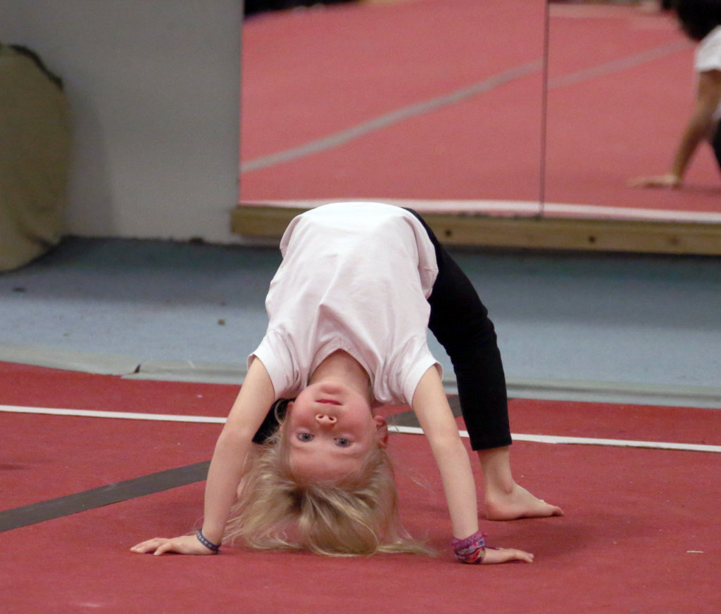 22. Weihnachtsshow der TiB Sportakrobaten Berlin 2025